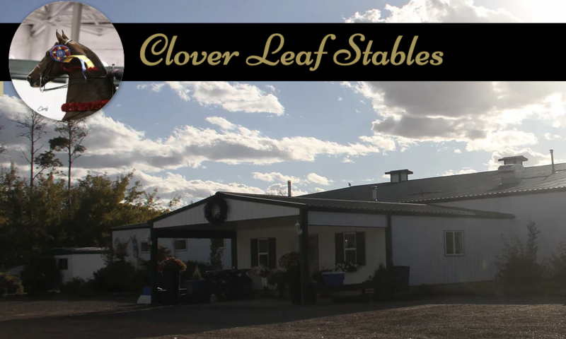 Cloverleaf Stables