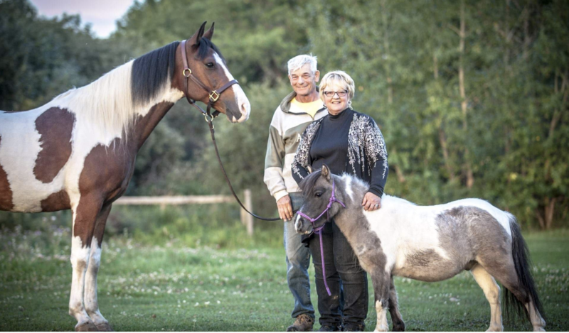 Courier Equine Park