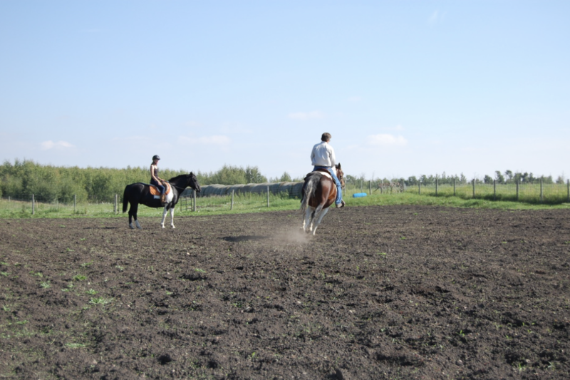 Coal Lake Stables