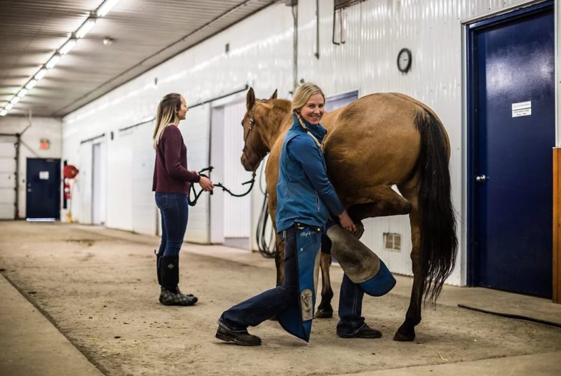 Moore Equine Veterinary Centre