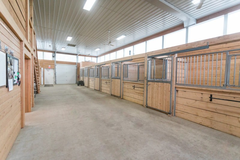 Timber Ridge Stables